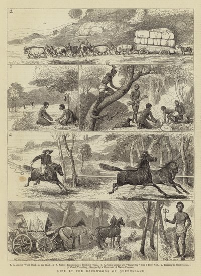 Livet i Backwoods of Queensland af Alfred Chantrey Corbould